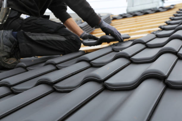 Best Asphalt Shingle Roofing  in Menonee, MI